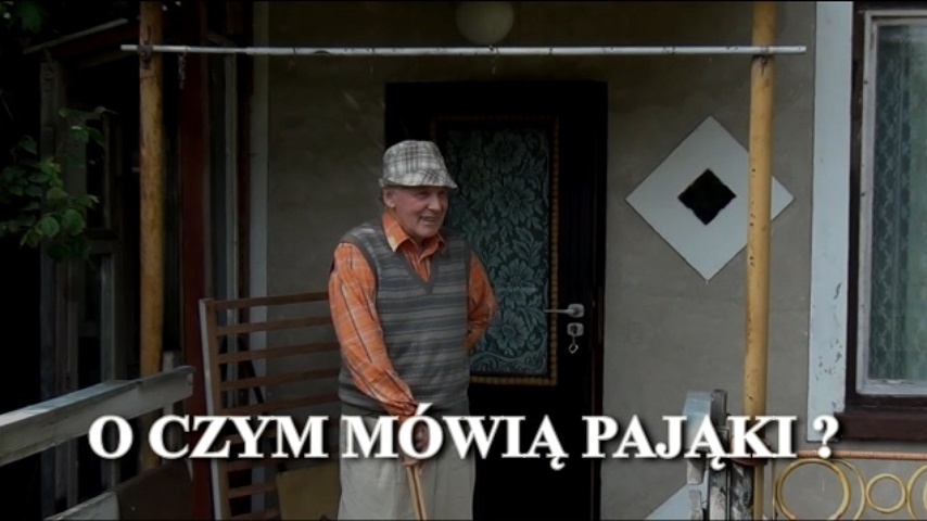 O czym mówią pająki ? O czym mówią pająki ?