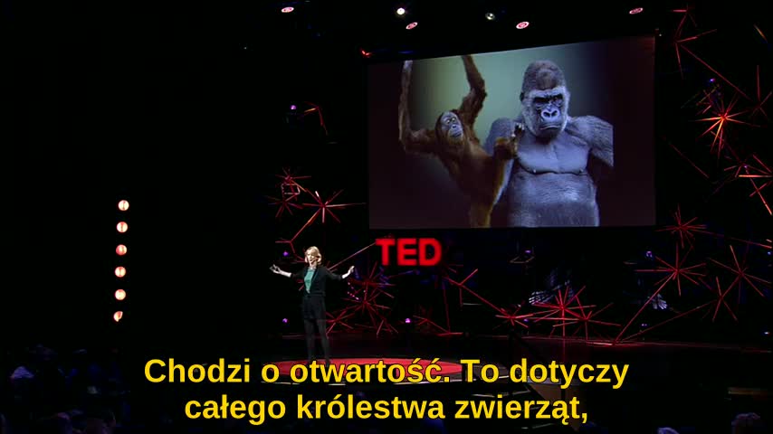 Amy Cuddy - jak mowa ciała kształtuje to kim jesteś Amy Cuddy - jak mowa ciała kształtuje to kim jesteś